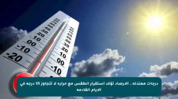 درجات معتدلة.. الأرصاد تؤكد استقرار الطقس مع حرارة لا تتجاوز 35 درجة في الأيام القادمة